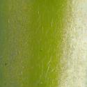 Img.VTax603.Ex1.Img12