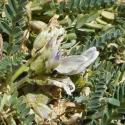 Img.VTax604.Ex2.Img6