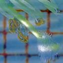 Img.VTax637.Ex1.Img6
