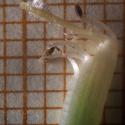 Img.VTax637.Ex1.Img7