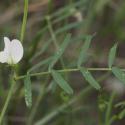 Img.VTax640.Ex2.Img1