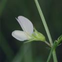Img.VTax640.Ex2.Img2