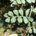 Img.VTax653.Ex2.Img6