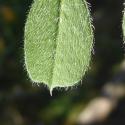 Img.VTax653.Ex2.Img7