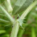 Img.VTax653.Ex2.Img8