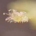 Img.VTax657.Ex1.Img1