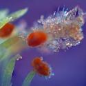 Img.VTax657.Ex1.Img6