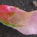 Img.VTax657.Ex1.Img9