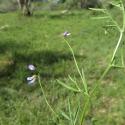Img.VTax661.Ex1.Img3
