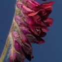 Img.VTax664.Ex2.Img6