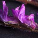 Img.VTax670.Ex1.Img7