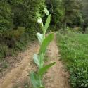 Img.VTax680.Ex2.Img1