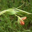 Img.VTax691.Ex1.Img6