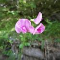 Img.VTax692.Ex1.Img1
