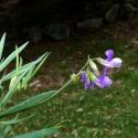 Img.VTax698.Ex1.Img6