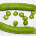 Img.VTax705.Ex1.Img3