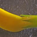 Img.VTax735.Ex3.Img6
