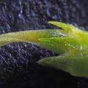 Img.VTax735.Ex3.Img9