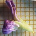 Img.VTax746.Ex2.Img3