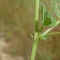 Img.VTax763.Ex2.Img3