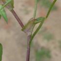 Img.VTax770.Ex1.Img3