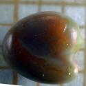 Img.VTax778.Ex2.Img3