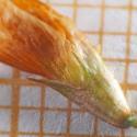 Img.VTax778.Ex2.Img6
