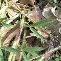 Img.VTax801.Ex2.Img5
