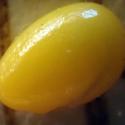 Img.VTax801.Ex3.Img5