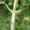 Img.VTax816.Ex2.Img1