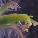 Img.VTax824.Ex5.Img6