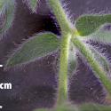 Img.VTax824.Ex5.Img9