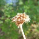 Img.VTax825.Ex2.Img1