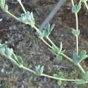 Img.VTax828.Ex1.Img6
