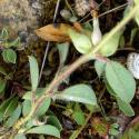 Img.VTax847.Ex1.Img1