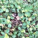 Img.VTax847.Ex2.Img1