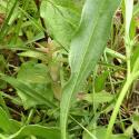 Img.VTax854.Ex1.Img5