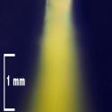Img.VTax854.Ex2.Img9