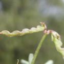 Img.VTax869.Ex1.Img6