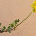 Img.VTax872.Ex1.Img9