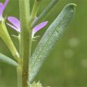 Img.VTax889.Ex2.Img3