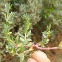 Img.VTax889.Ex2.Img6