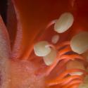 Img.VTax894.Ex3.Img5