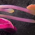 Img.VTax904.Ex2.Img3