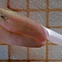 Img.VTax904.Ex2.Img6