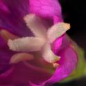 Img.VTax905.Ex3.Img4
