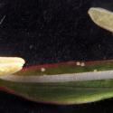 Img.VTax905.Ex3.Img6