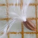 Img.VTax905.Ex3.Img8