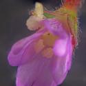 Img.VTax906.Ex1.Img3