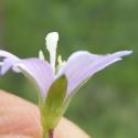Img.VTax907.Ex2.Img3